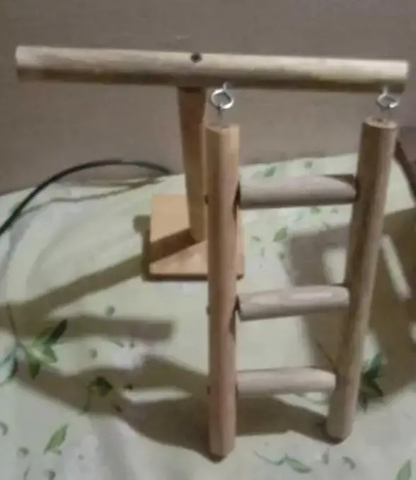 birds toys & play stand & accessories available 03130656798 — photo 2
