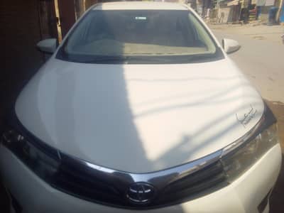 xli 2017 contact no/ 03004947233