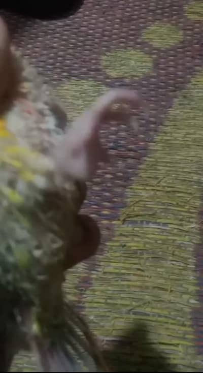 contact number 03010406928