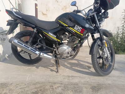 Yamaha YBR 125G | Model 2021 | Excellent condition | Total Genuine