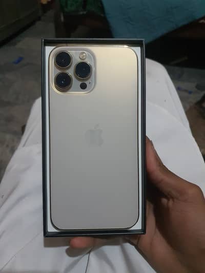 Apple iPhone 13 Pro Max