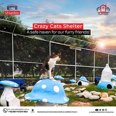 5 Marla House Grey Structure In Sher Zaman Block