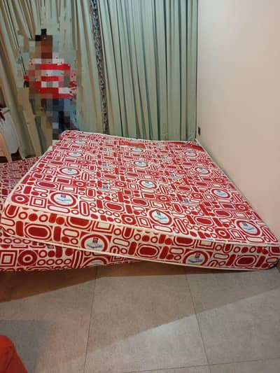 Molty Foam 2in1 Queen 2 78*66 8In Thickness