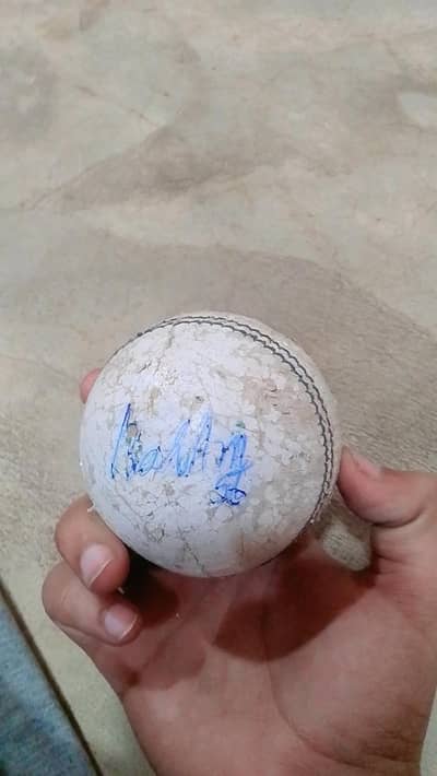 For video Number 03151116641