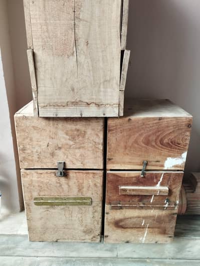 Breeding Box for Raw Parrots