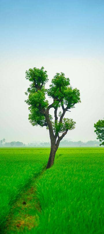 فی میل کی ضرورت ہے 0