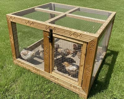 Cages for small animals and birds