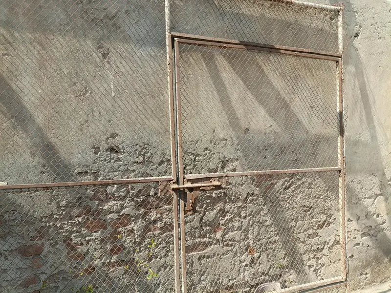iron cage