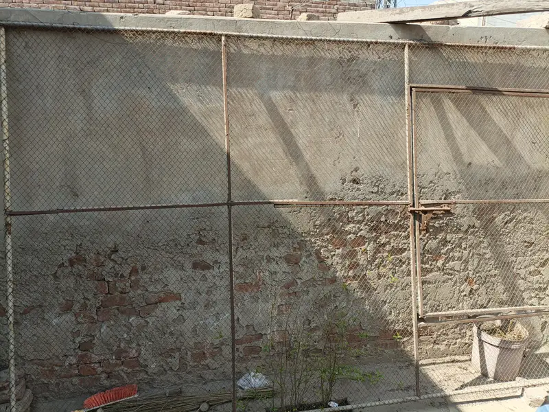 iron cage — photo 2