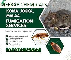 Pest control Termite Expert | Fumigation Services | Termite expert