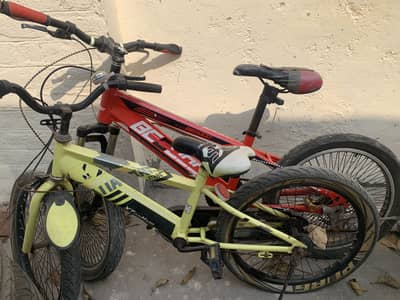 Boys and girls bicycle