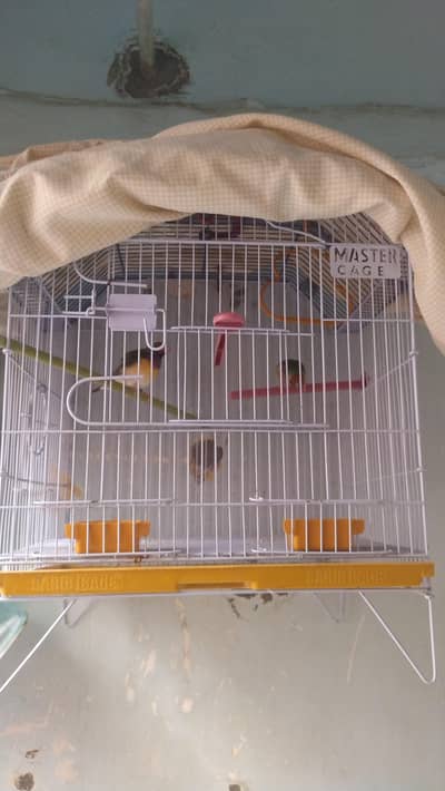 Gouldiun 2 piece  gender not canform