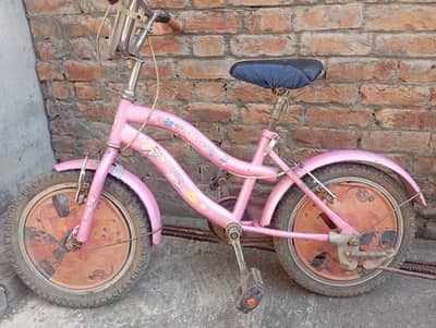 princess girl bicycle