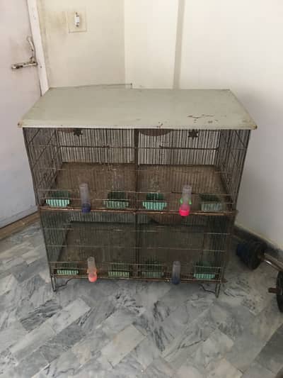 Iron Cage 1.5 x 1.5 x 1.5 feet