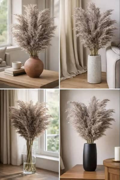 Furry plants for home decor