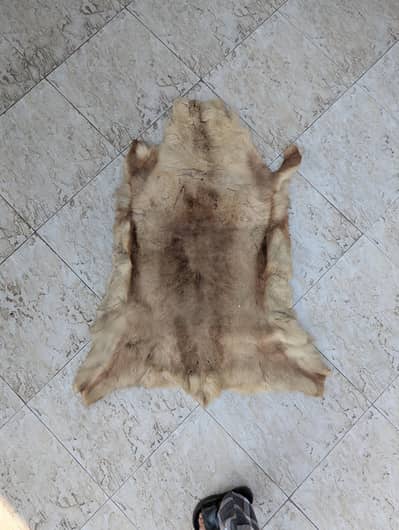 deer skin