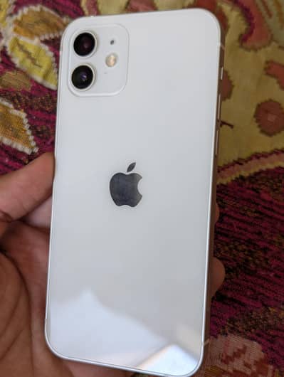iphone 12 dual pta approved