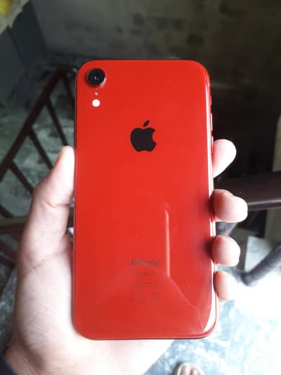 iPhone XR