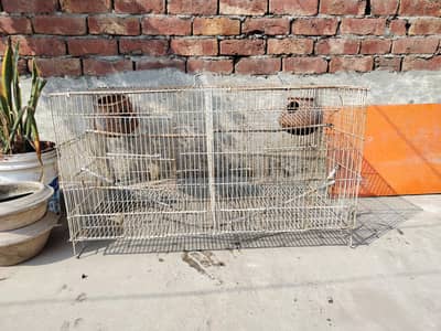 birds Cage for sale