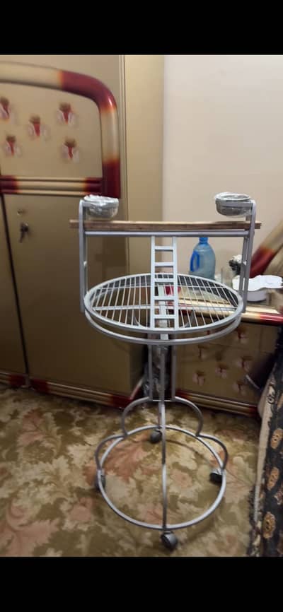 New Birds sitting stand Red at carefully