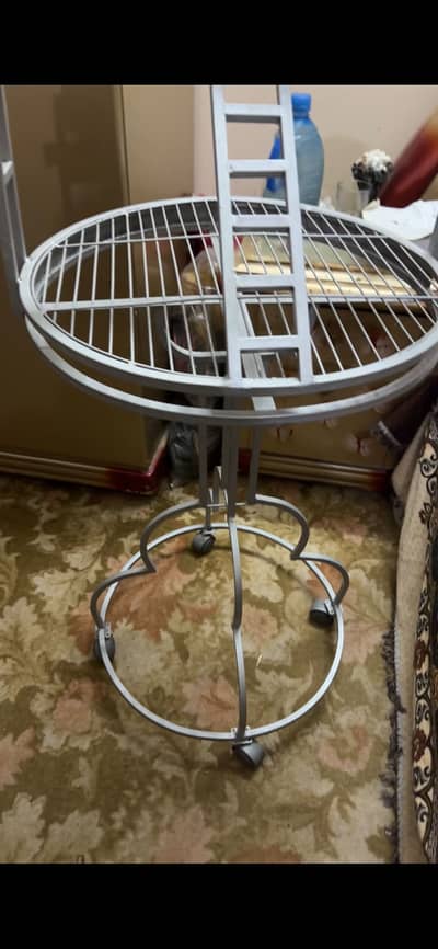 Stand for Birds Red at carefully