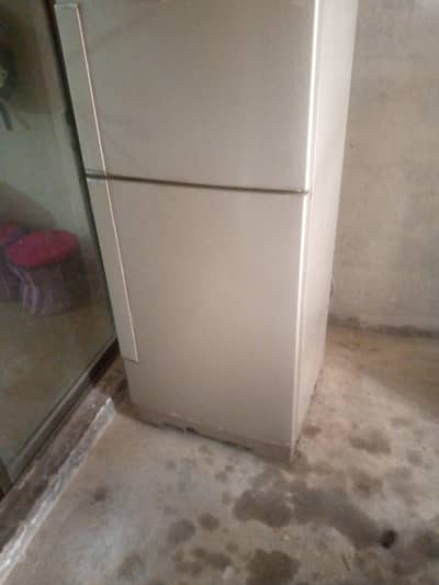 a1 cooling all ok glass door