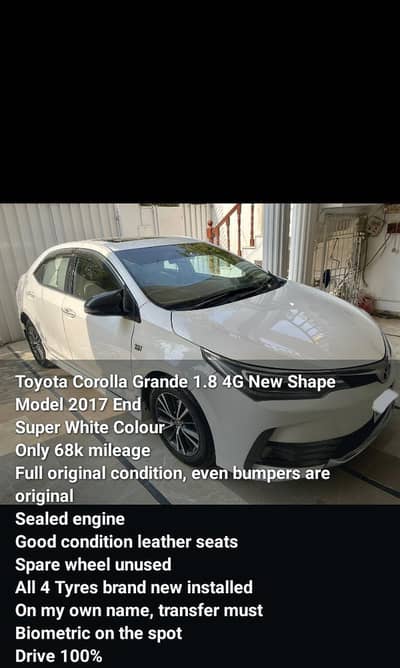 GRANDE 2017 MODEL B2B NEW SHAPE