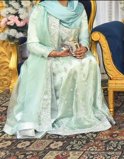 Organza Maxi with Zardozi work