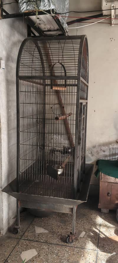 Strong Iron Animal Cages (Used – Good Condition)