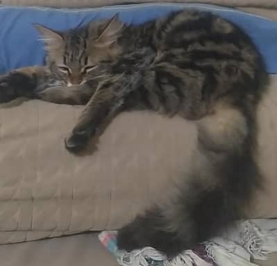 Bhai bohot loving male hai