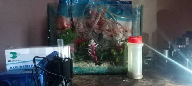 aquarium set