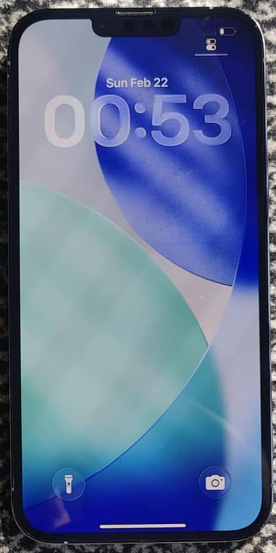 Iphone 13 Pro Max Mint Condition