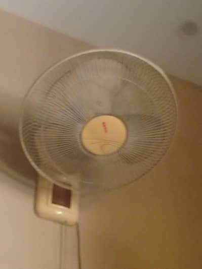 Royal bracket fan for sale