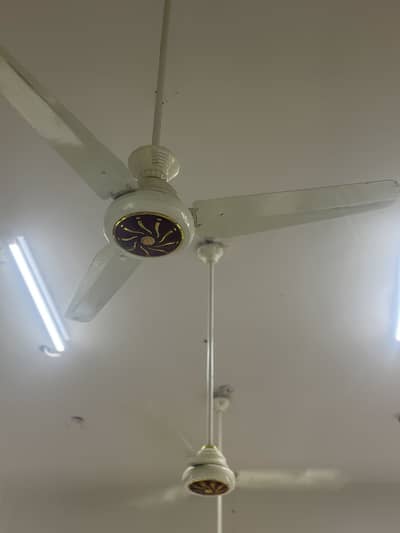 Ceiling fans AC/DC  Air Plus 56’’ within warranty