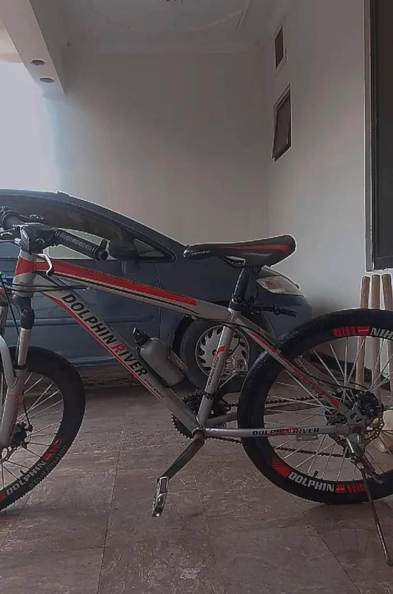 DOLPHIN RIVER CYCLE 2