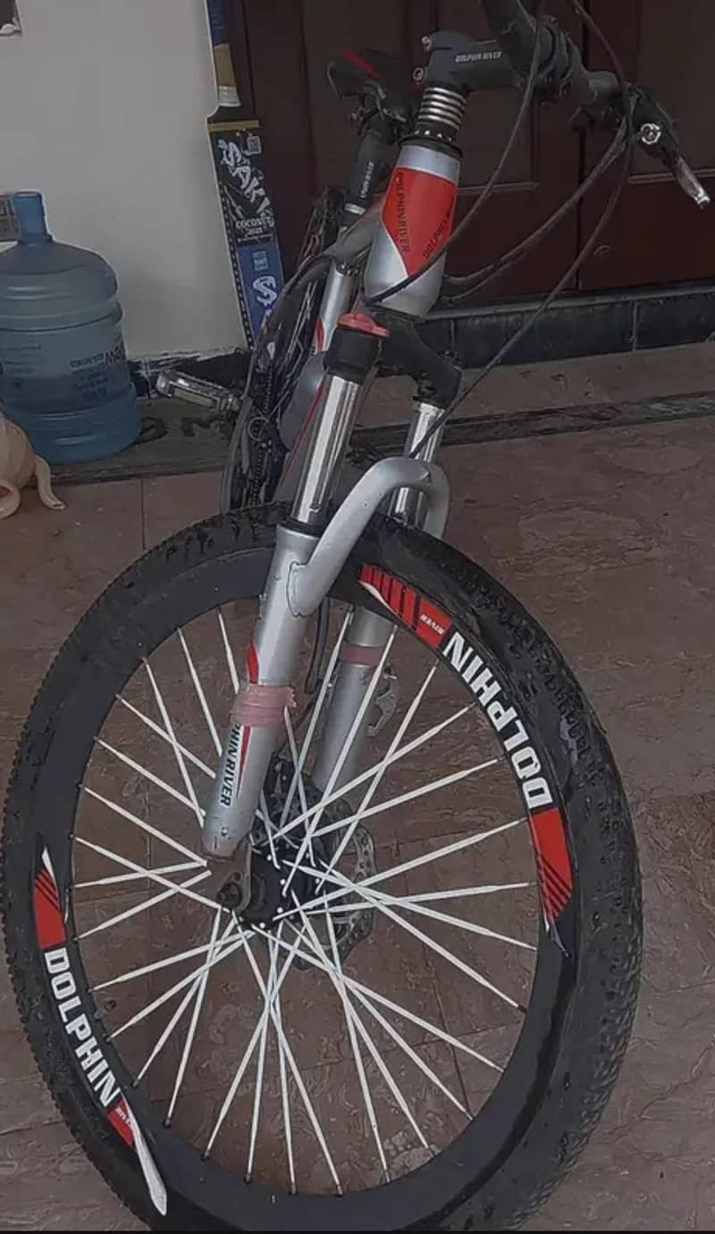 DOLPHIN RIVER CYCLE 3