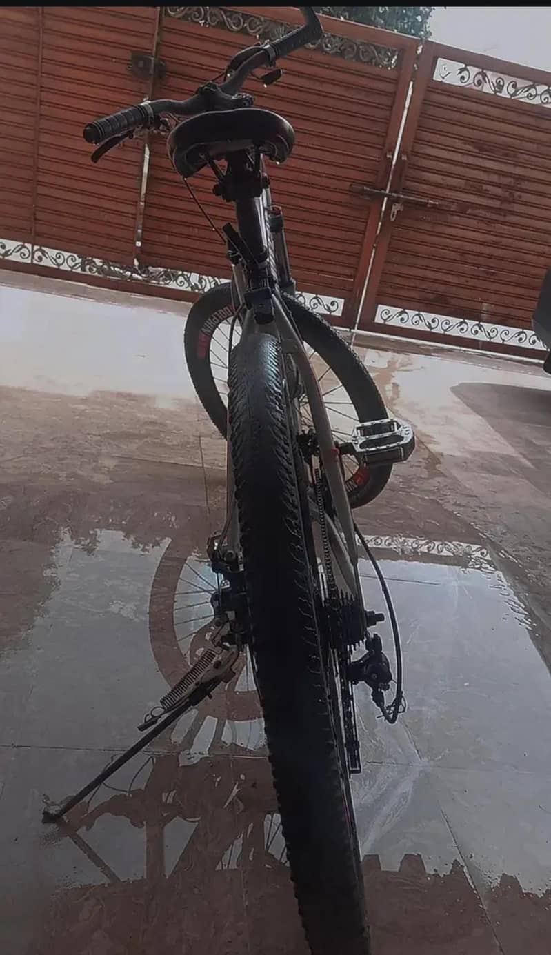 DOLPHIN RIVER CYCLE 4