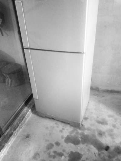 a1 cooling all ok glass door