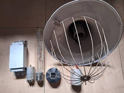 Street Light (White Color)