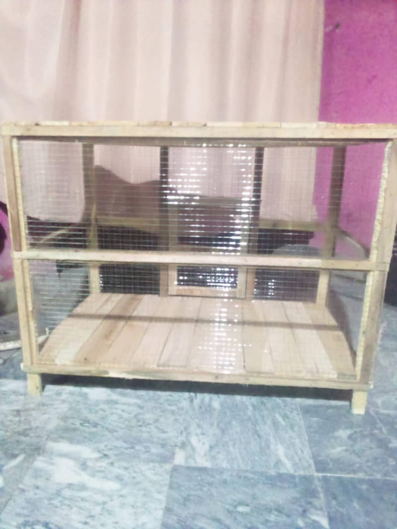 hen's cage 4