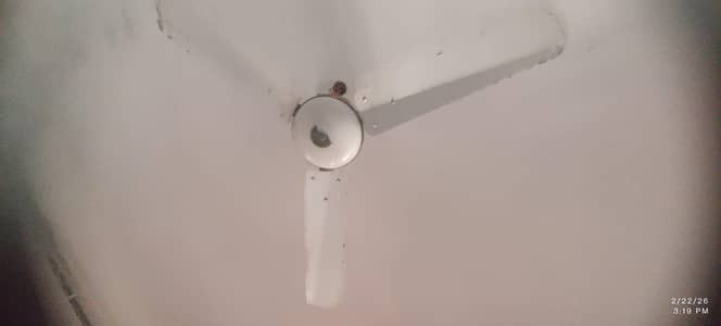 Ceiling fan