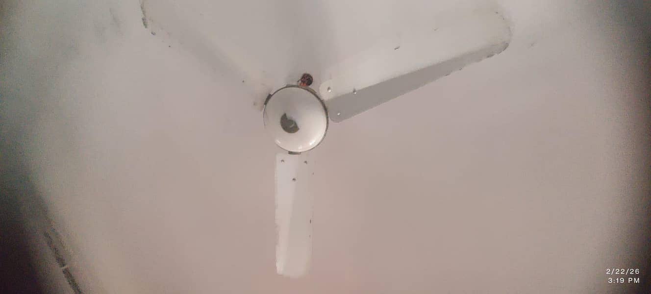 Ceiling fan 0