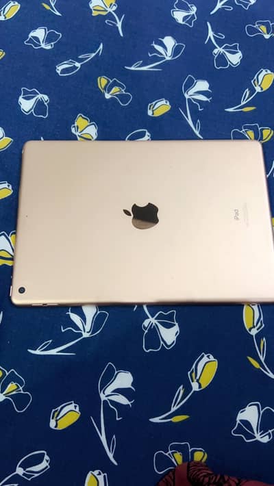 Ipad 8th generation 256gb