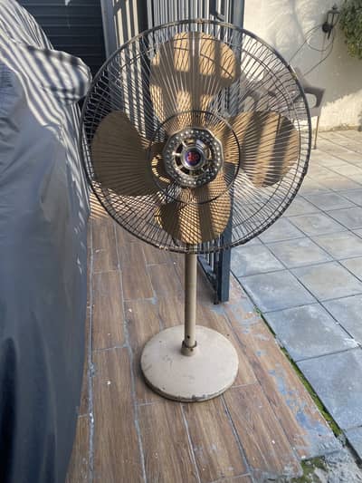 Pedestal fan for sale