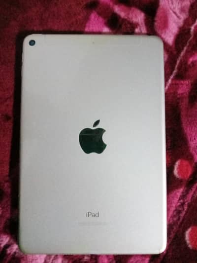 ipad mini 5 256 gb