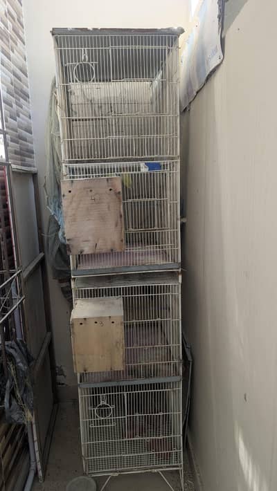 4 portion Cage with Birds (Cremino and Blu 2)