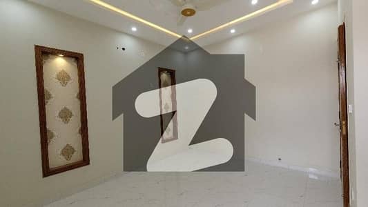 Perfect 1000 Square Feet Lower Portion In D-12 For Rent