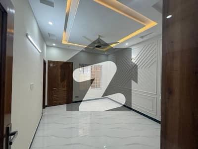 Upper Portion Of 3200 Square Feet Available In D-12