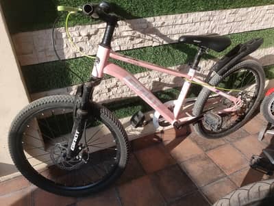 22 inch bicycle without gear