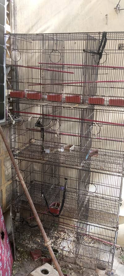 12 portion folding cage